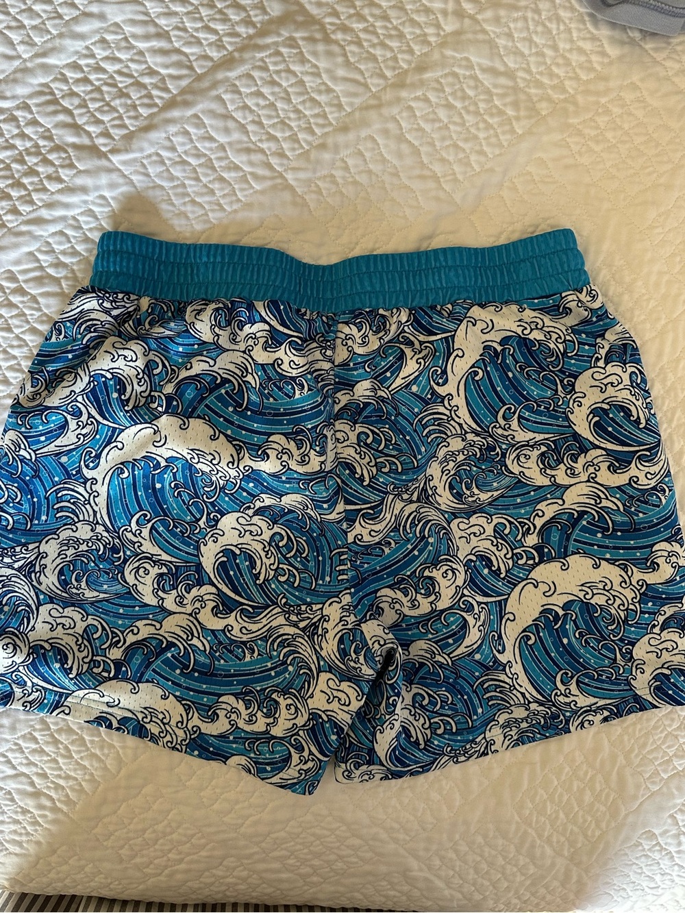 Baseball Lifestyle 101 Blue Wave shorts - Picture 2 of 4